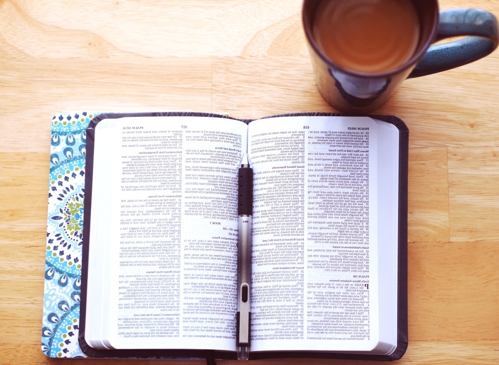 Book Green Thick · Free vector graphic on Pixabay Book Green Thick · Free vector graphic on Pixabay