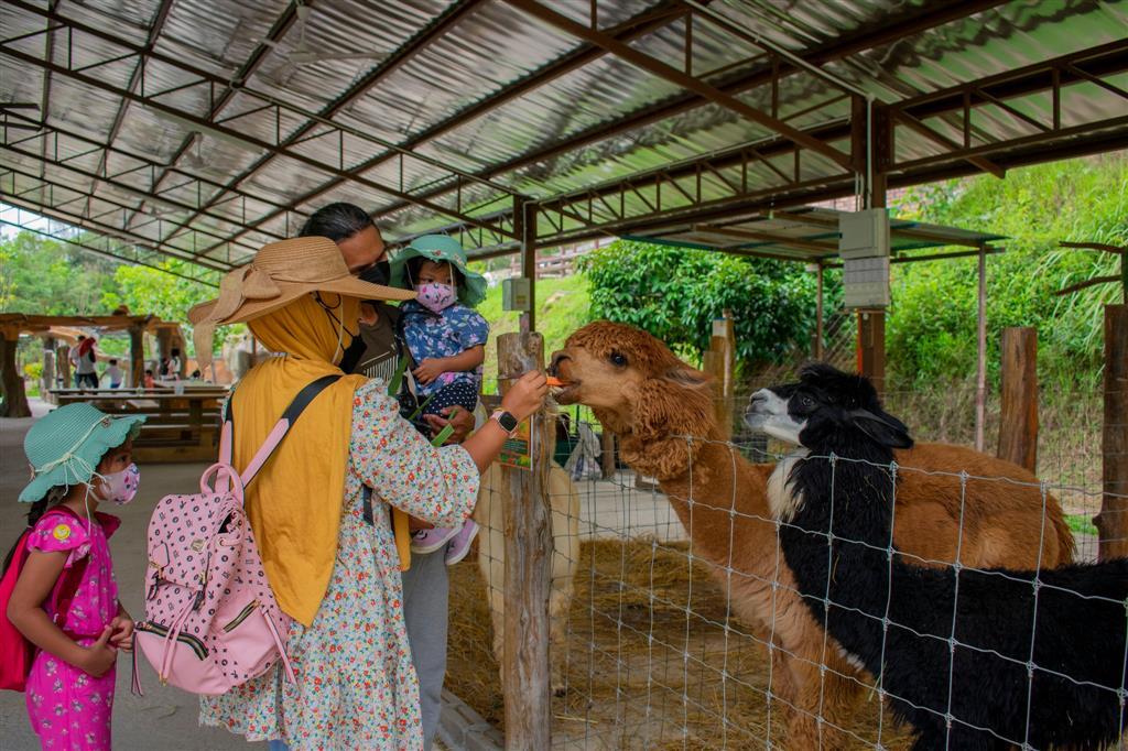 Solved The function f(x)=35x+5 is graphed below. Use | Chegg.com Solved The function f(x)=35x+5 is graphed below. Use | Chegg.com