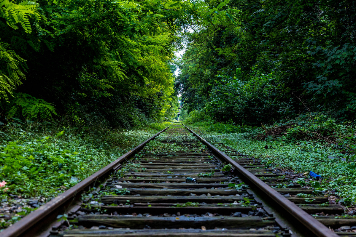 Free Images : tree, nature, forest, track, railway, railroad, sunlight ... Free Images : tree, nature, forest, track, railway, railroad, sunlight ...